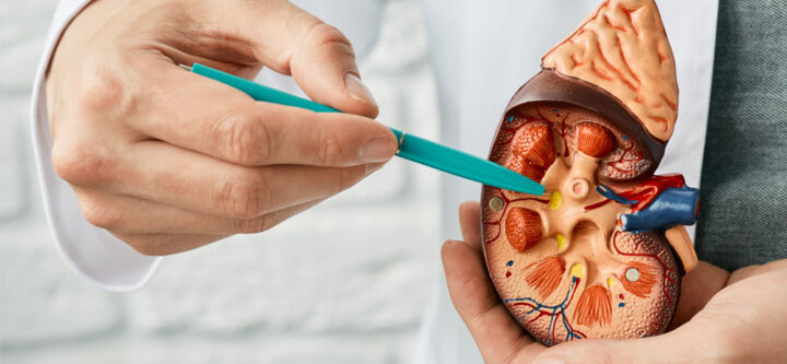 Diabetic Kidney Disease