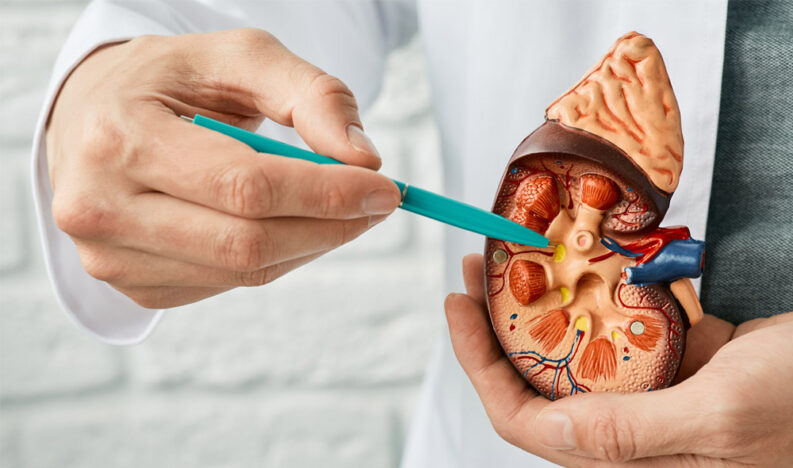 Diabetic Kidney Disease Diabetic Kidney Disease